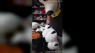 Hairy Fursuit Cumshot Compilation Over 50 Clips — Cumshot