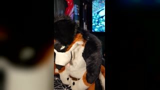 Hairy Fursuit Cumshot Compilation Over 50 Clips — Cumshot